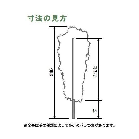 毛ばたき オーストリッチ 全長112cm D180 車用 中型車 高級羽毛 日本製
