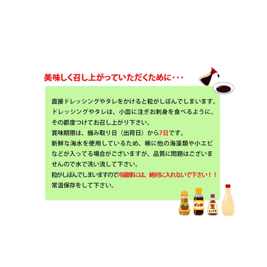 海ぶどう　沖縄　500g　特選品　活海ぶどう　宜野座村産 |  | 03