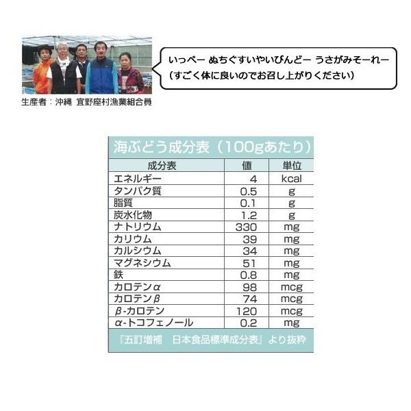 海ぶどう　沖縄　500g　特選品　活海ぶどう　宜野座村産 |  | 05