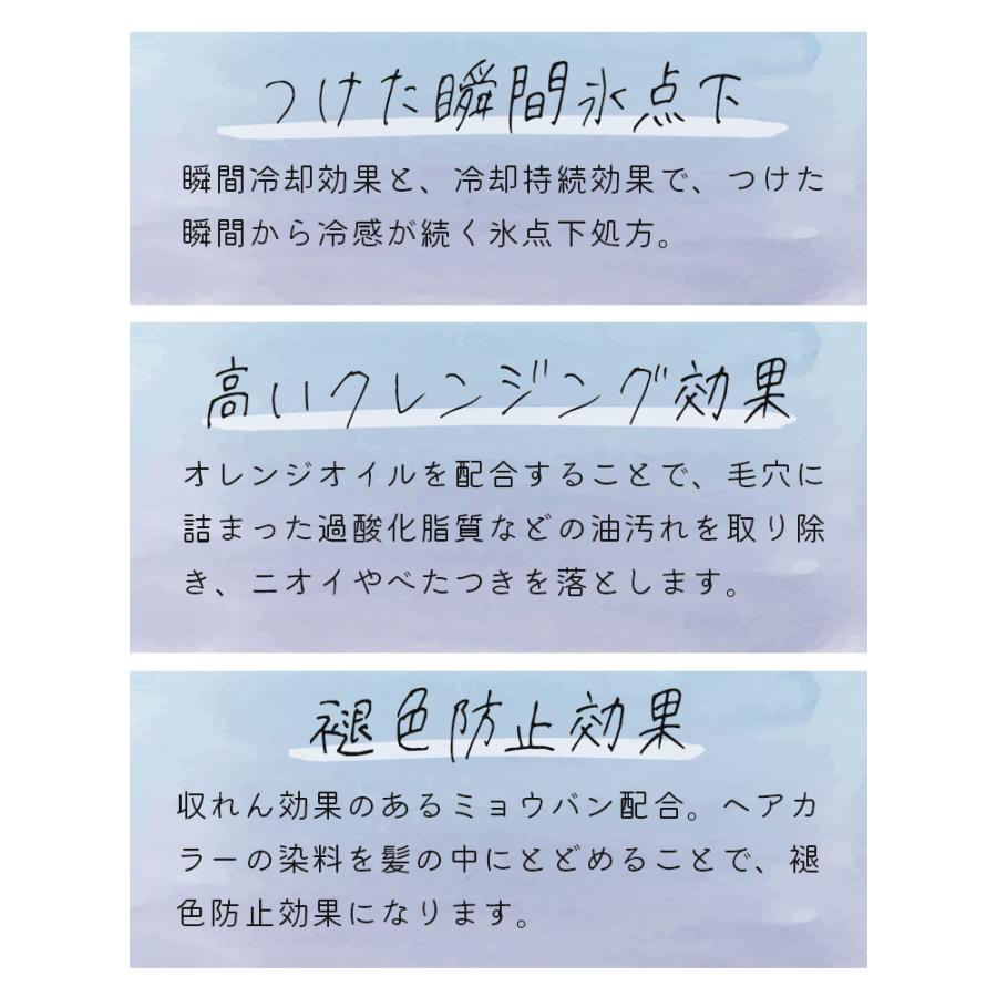 父の日 メンズ シャンプー ギフト クール 夏 サロン ヘアケア 夏限定 冷涼 紫外線 地肌 指通り 透明感 クールシャンプー 冷感 ひんやり 爽快感 クール｜kos-plus｜03