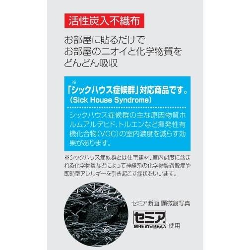不織布カレンダー 消臭カレンダー (FU30) 1部 : DVD・CDケース卸販売