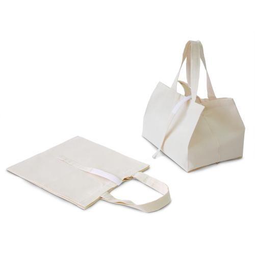 スノーピーク エントリーIGT ギアトートM Snow peak IGT フレーム