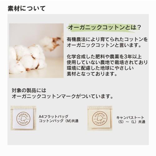 A4サイズ オーガニックコットン フラットバッグ 100枚 無地 名入れプリント可能 トートバッグ エコバッグ