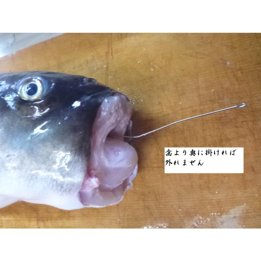 即発送可能 トラフグ釣り トラフグハンター 飲ませ串針下オモリステン軸伊勢尼15号ツイン地獄針仕掛け Materialworldblog Com