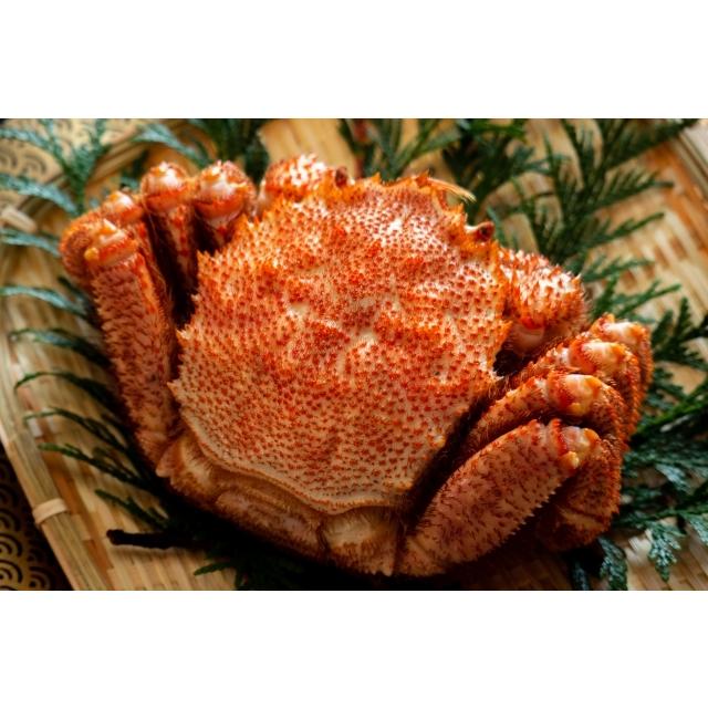 オホーツク産ボイル冷凍毛蟹(500g前後) 毛ガニ