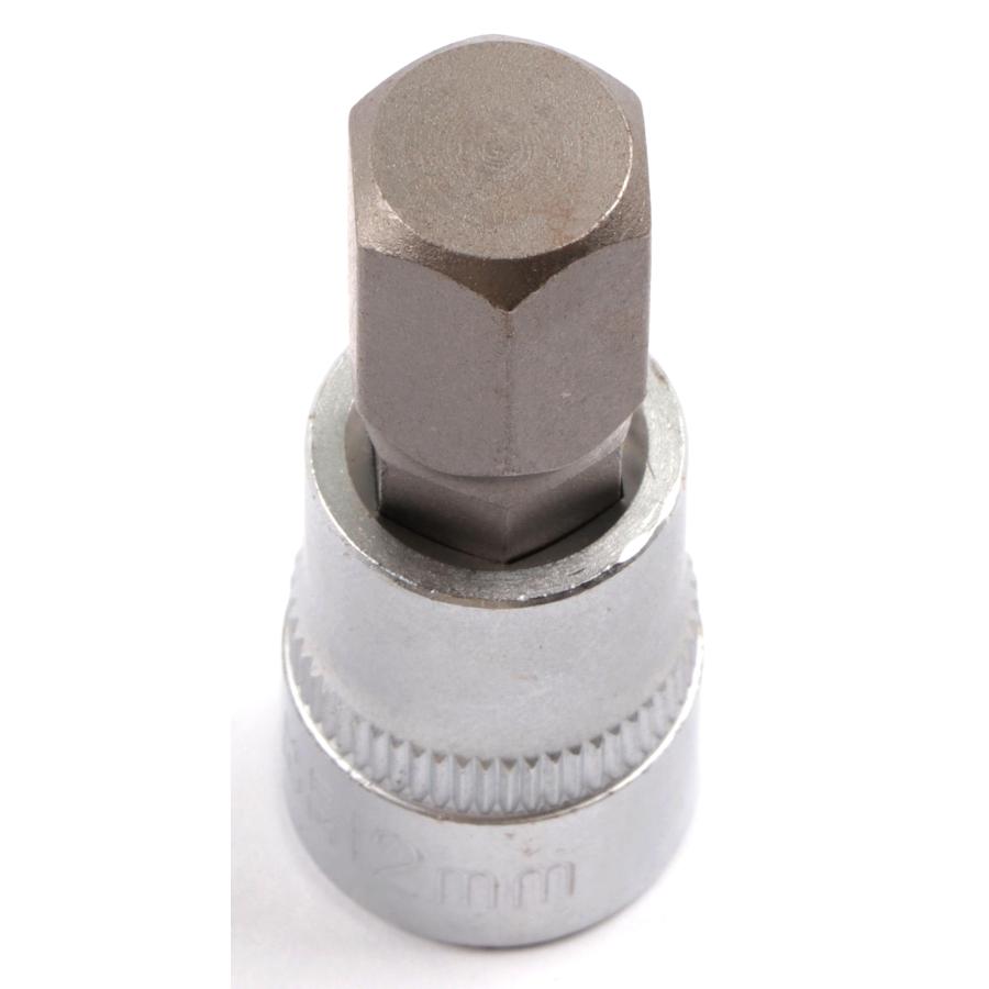 teru3　コケ各種6.5パレット他ヒノキL、2P、カサゴケ15本2P teru3 コケ各種6.5パレット他ヒノキL、2P、カサゴケ15本2P teru3