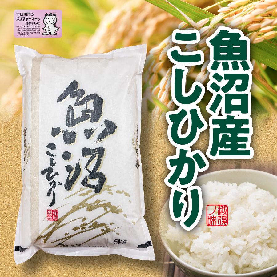 2025年産 新米 魚沼産コシヒカリ 5kg : 魚沼の餅屋 - 通販 - Yahoo