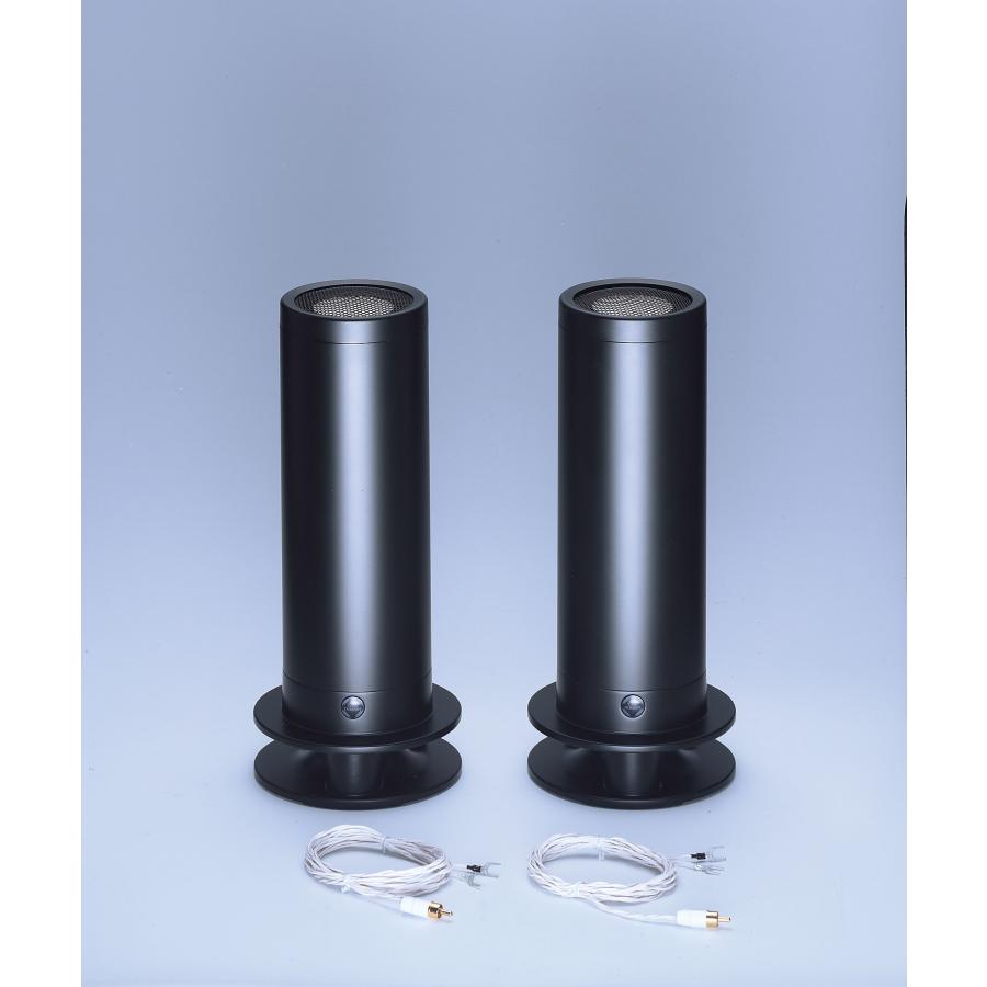 SuperPod スピーカー2本セット シルバー TD-21 SuperPod（スピーカー2