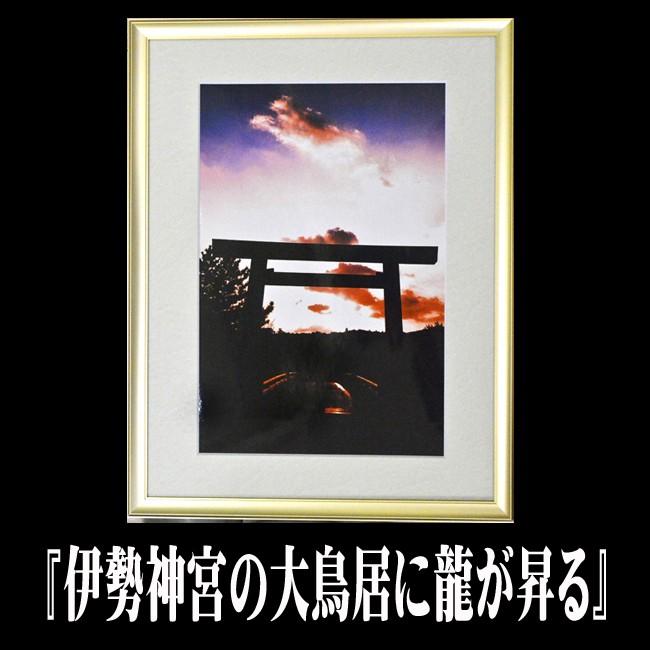 MQTK81NCYLD