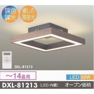 ご注文合計25,001円以上送料無料】大光電機照明器具 DXL-81213