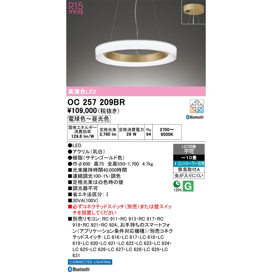 ✨️2023年製✨️オーデリック OC257209BR LEDペンダントライト ODELIC（オーデリック） 安心のメーカー保証 【送料無料】N区分
