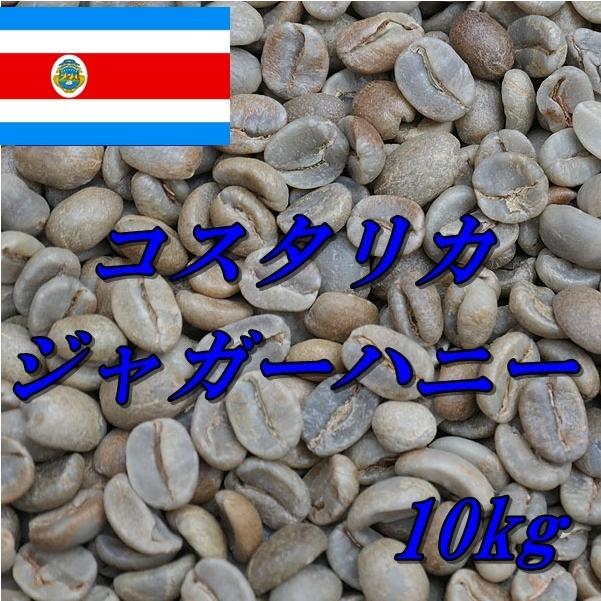 コーヒー生豆 グアテマラSHBウエウエテナンゴQグレード 2kｇ 送料無料