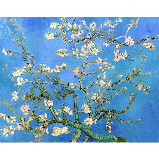 花咲くアーモンドの木の枝 ゴッホ Vincent Van Gogh 手描き油絵複製画 模写 レプリカ 肉筆絵画 Vvg0093 Daybreak 通販 Yahoo ショッピング