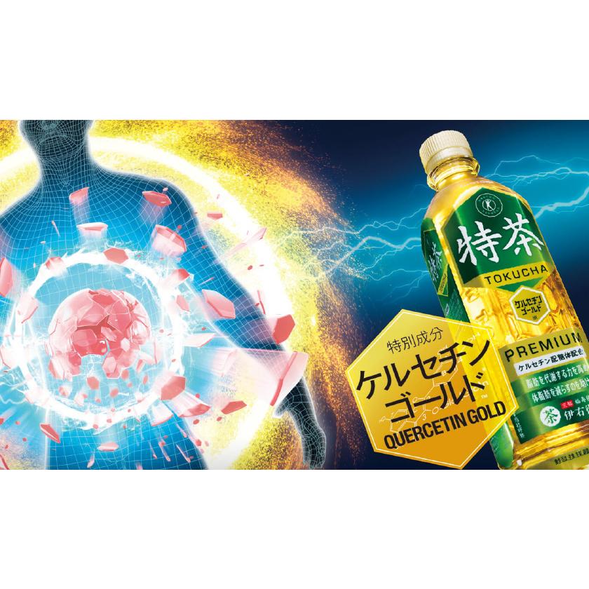 サントリーフーズ 伊右衛門 特茶 500ml×48本 (4901777247680)【特定