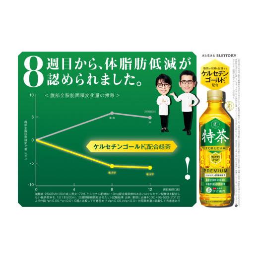 サントリーフーズ 伊右衛門 特茶 500ml×48本 (4901777247680)【特定