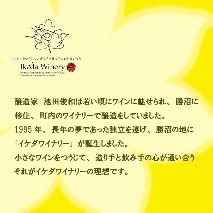 イケダ　セレクト 白 750ml 現行ヴィンテージ 山梨ワイン 甲州ワイン 日本ワイン 白ワイン 厳選 至極 辛口｜koshucellar｜02