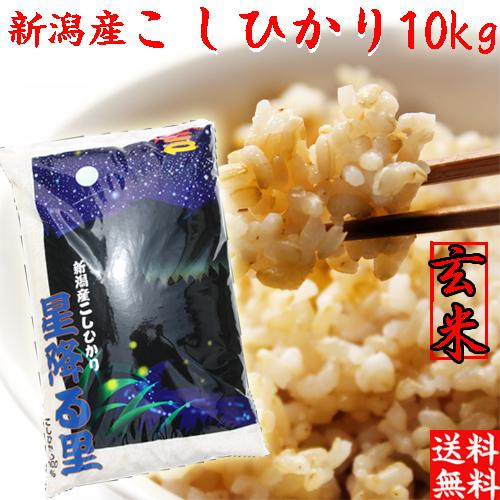 コシヒカリ 玄米 10kg 米 令和6年 新潟産 送料無料 お米 新潟県 コシヒカリ 玄米 10kg 米 令和6年 新潟産 送料無料 お米 新潟県