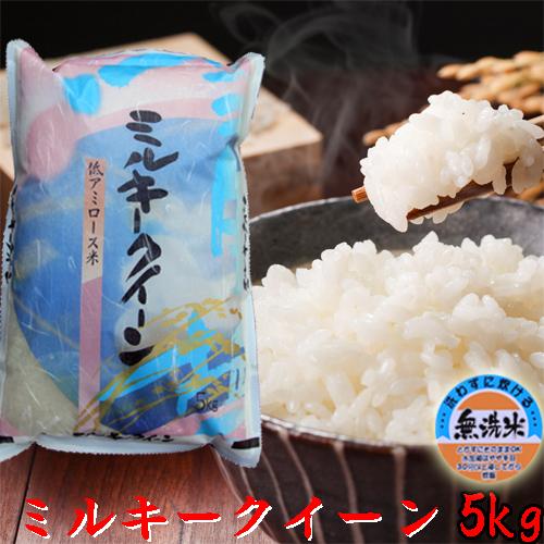 米 無洗米 5kg 令和7年 新潟産 ミルキークイーン 5kg 無洗米 モチモチお米 粘りが強い | ミルキークイーン | 01