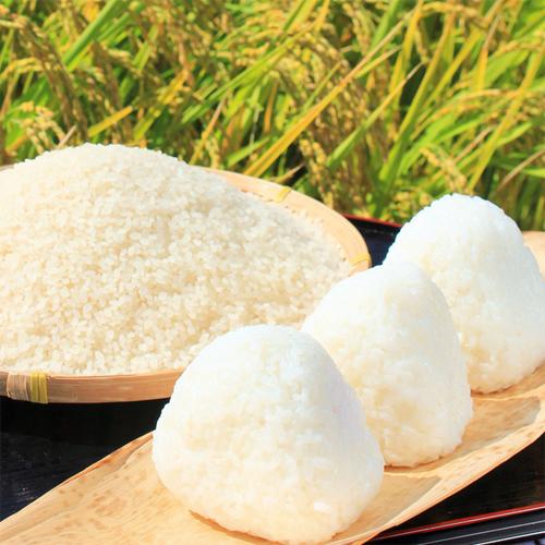米 無洗米 5kg 令和7年 新潟産 ミルキークイーン 5kg 無洗米 モチモチお米 粘りが強い | ミルキークイーン | 06