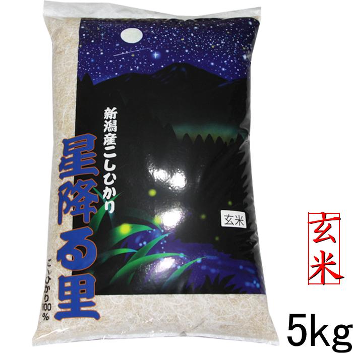 コシヒカリ 令和7年 新潟産 玄米 5kg 玄米5kg 農家直送 新潟県産 