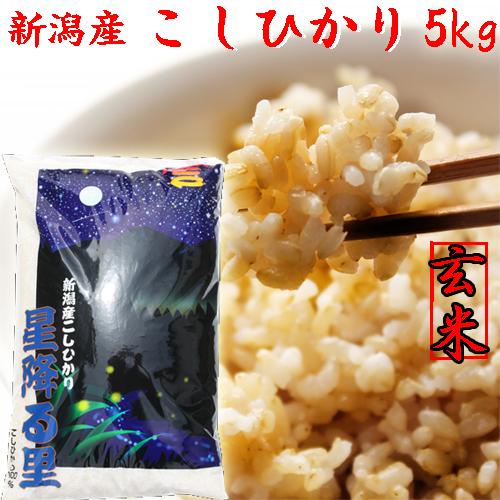 コシヒカリ 米 令和6年 新潟産 玄米 5kg 玄米5kg 新潟県産