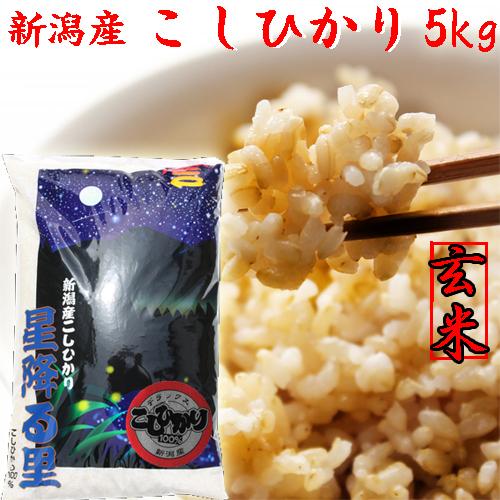 新米 玄米 5kg コシヒカリ 令和5年 新潟産 コシヒカリ 5kg 玄米 新潟県産 農家直送 コシヒカリデラックス玄米 お米 こしひかり ５キロ｜kosihikari｜02