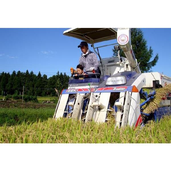 新米 玄米 5kg コシヒカリ 令和7年 新潟産 コシヒカリ 5kg 玄米 農家直送 コシヒカリデラックス玄米 新潟県産 お米 こしひかり ５キロ | コシヒカリ | 02