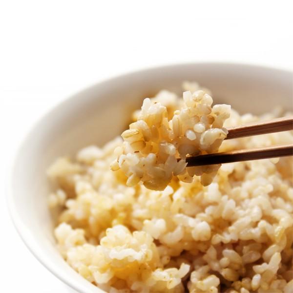 新米 玄米 5kg コシヒカリ 令和7年 新潟産 コシヒカリ 5kg 玄米 農家直送 コシヒカリデラックス玄米 新潟県産 お米 こしひかり ５キロ | コシヒカリ | 05