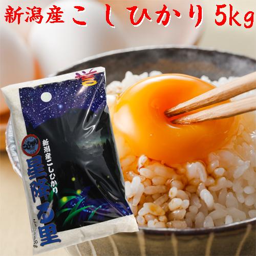 コシヒカリ 米 令和6年 新潟産 5kg 新潟米 白米 こしひかり 5 コシヒカリ 米 令和6年 新潟産 5kg 新潟米 白米 こしひかり 5