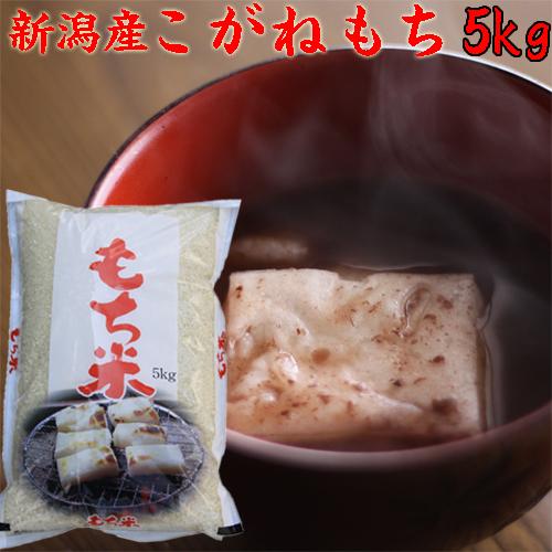 こがねもち もち米 5kg 令和7年 新潟産 5kg 餅米 もちごめ