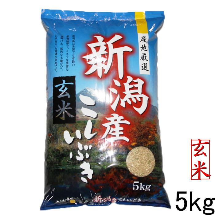 玄米10キロ 新潟県産こしいぶき 特別栽培米 4年産 低温冷蔵貯蔵