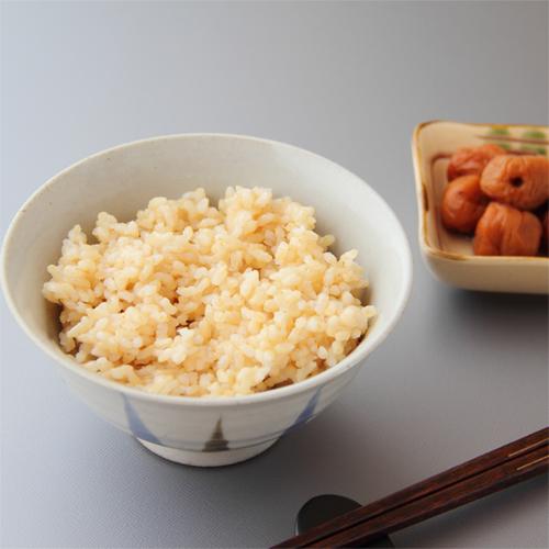 米 令和6年産 玄米 5kg 新潟産 つきあかり お米 5キロ ポイント 米 令和6年産 玄米 5kg 新潟産 つきあかり お米 5キロ ポイント