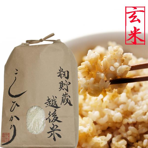 コシヒカリ 籾貯蔵・越後米 コシヒカリ5kg 玄米 新潟県産 お米 令和5年 