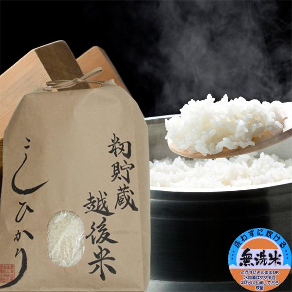 コシヒカリ 籾貯蔵・越後米 5kg 無洗米 新潟県産 令和5年 今づり米 籾 