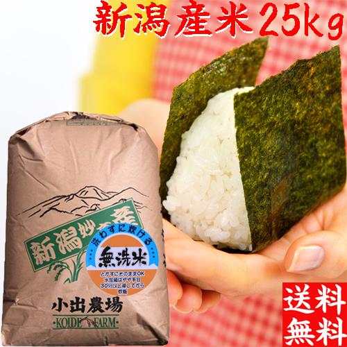 米 無洗米 令和6年 新潟産 業務用米 25kg 送料無料 ブレンド米 米 無洗米 令和6年 新潟産 業務用米 25kg 送料無料 ブレンド米