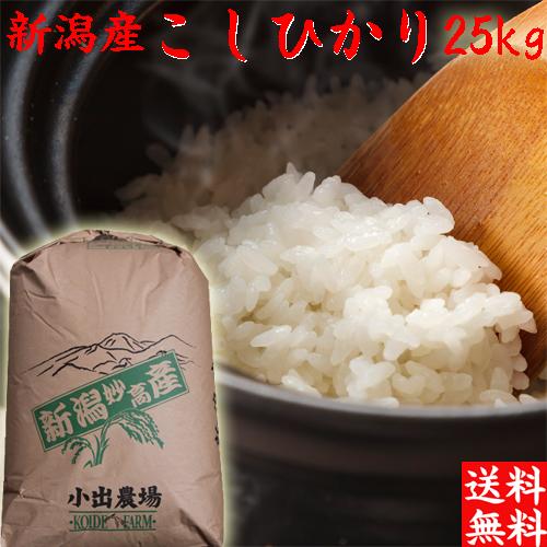 新米 令和5年 訳あり米 25kg 送料無料 令和5年産 新潟産 業務用 米 25kg 送料無料 ブレンド米 白米25kg送料無料 精白米 お得米 安い米25kg お米安い25kg｜kosihikari｜02