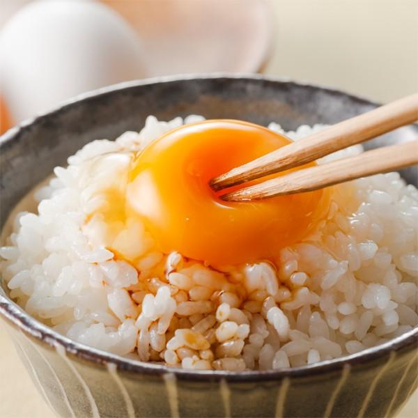 米 10kg 令和7年 新潟産 業務用米 訳あり ブレンド米 米10kg 安い米 お