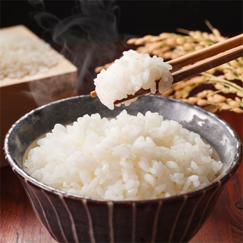 コシヒカリ 令和7年 新潟産 20kg 送料無料 米 新潟県産 10kg×2袋 
