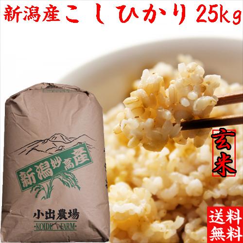 コシヒカリ 米 玄米 令和6年 新潟産 25kg 送料無料 新潟県産 25 コシヒカリ 米 玄米 令和6年 新潟産 25kg 送料無料 新潟県産 25
