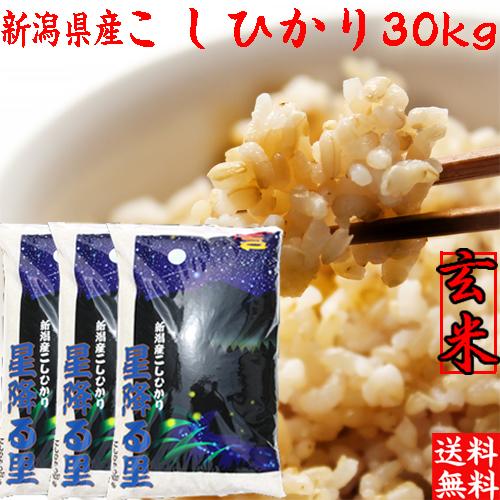 コシヒカリ 米 玄米 30kg 令和6年 新潟産 送料無料 お米 30キロ コシヒカリ 米 玄米 30kg 令和6年 新潟産 送料無料 お米 30キロ