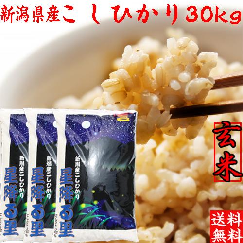 新米 玄米 30kg 令和5年 新潟産 コシヒカリ 玄米 30kg 送料無料 米