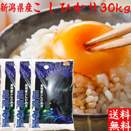 5分づき 新米 令和5年 新潟産 コシヒカリ 30kg 送料無料 胚芽米 新潟県産 米 ５分づき 農家直送 胚芽精米 こしひかり ぶづき米｜kosihikari｜02