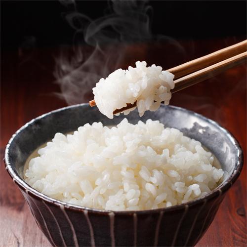 コシヒカリ お米 令和7年 7分づき 米 新潟産 30kg 送料無料 胚芽米 分