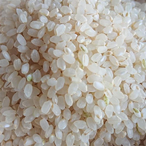 コシヒカリ お米 令和7年 7分づき 米 新潟産 30kg 送料無料 胚芽米 分