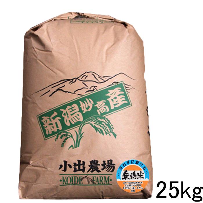 コシヒカリ 無洗米 25kg 米 令和6年 新潟産 送料無料 お米 お得 コシヒカリ 無洗米 25kg 米 令和6年 新潟産 送料無料 お米 お得