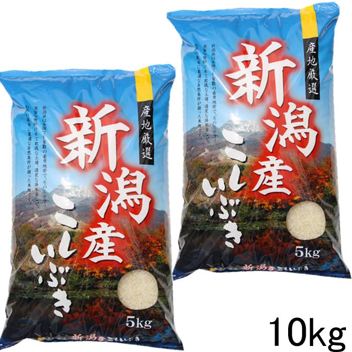 米10kg 令和3年 新潟産 こしいぶき 白米 10kg (5kg×2袋) 農家直送 お米 10キロ 白米10kg 安い米 新潟米 ベスト