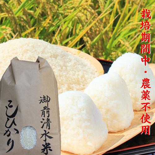 新米 令和5年 5分づき 新潟産 コシヒカリ 5kg 送料無料 胚芽米 御前清水米 栽培期間中農薬不使用 有機肥料｜kosihikari｜02