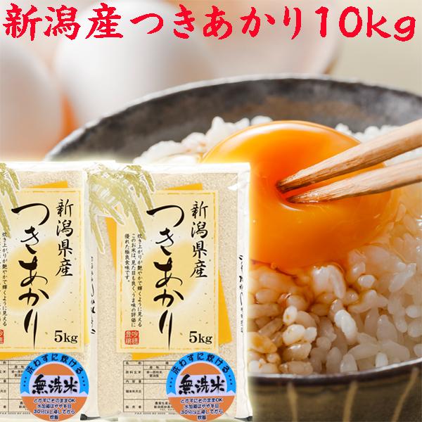 米 無洗米 10kg 令和6年 新潟県産 つきあかり 5kg×2袋 10キロ 米 無洗米 10kg 令和6年 新潟県産 つきあかり 5kg×2袋 10キロ