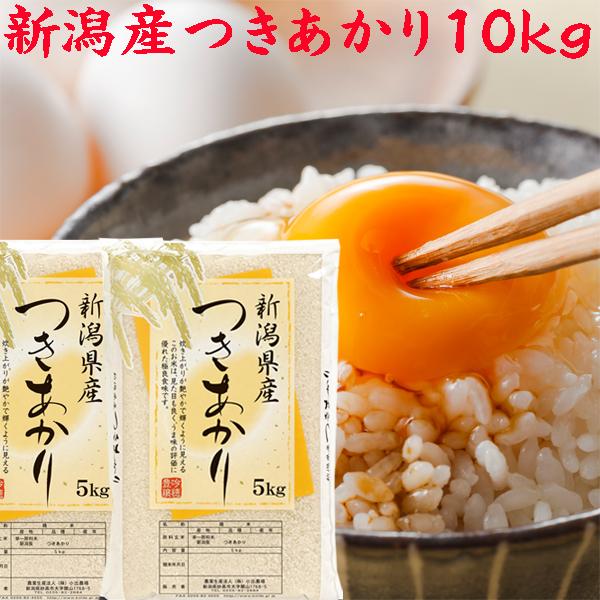 米 10kg 令和6年 新潟産 つきあかり 白米 5kg×2袋 プレゼント 米 10kg 令和6年 新潟産 つきあかり 白米 5kg×2袋 プレゼント