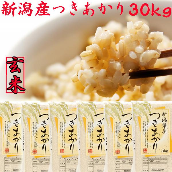 米 令和6年 新潟産 つきあかり 玄米 30kg 送料無料 お米 新潟県 米 令和6年 新潟産 つきあかり 玄米 30kg 送料無料 お米 新潟県